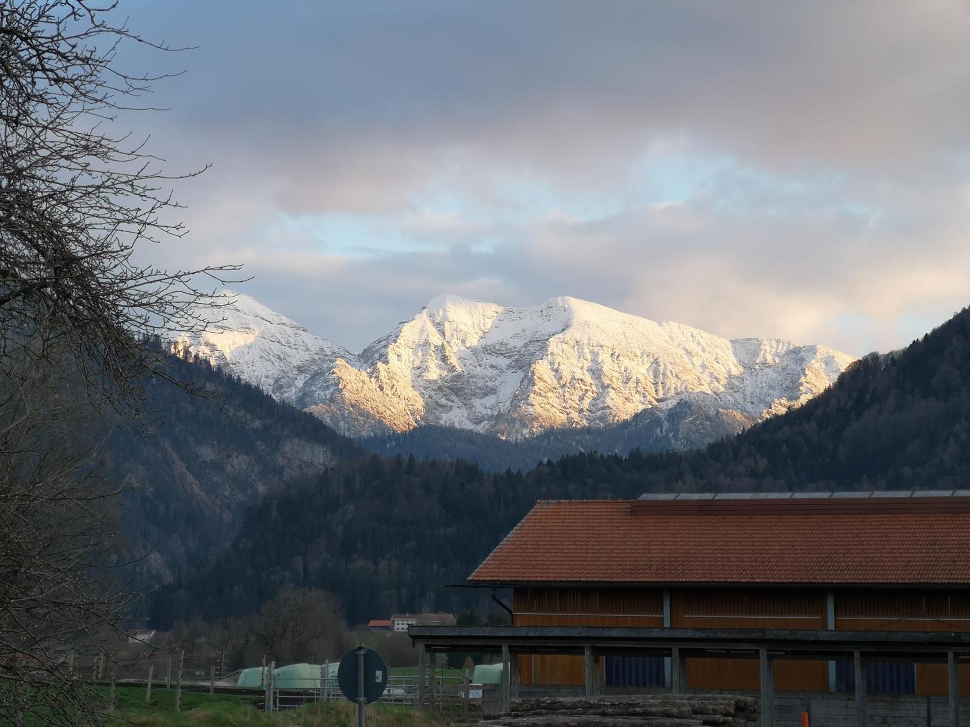 Ferienwohnung Am Wasen Inkl. Chiemgaukarte Ruhpolding Exteriér fotografie